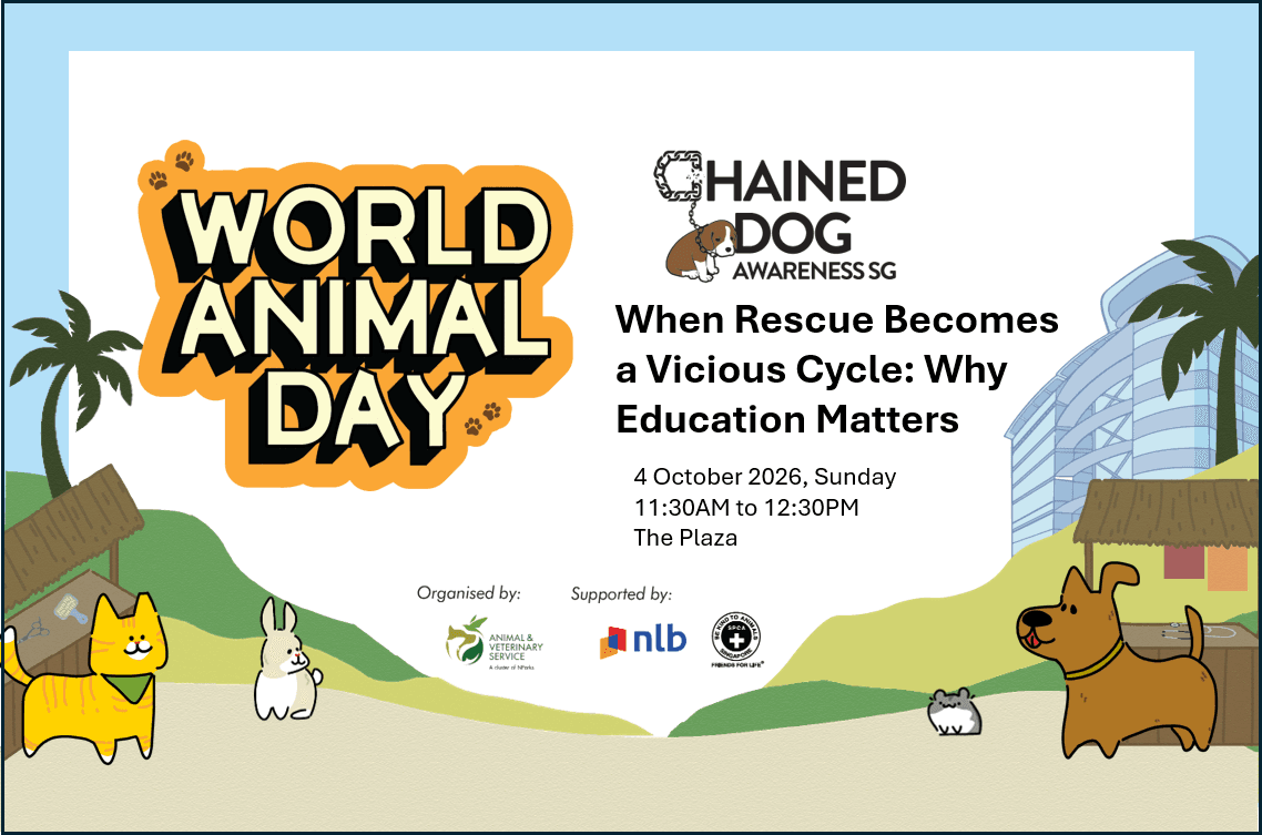 World Animal Day: When Rescue Becomes a Vicious Circle: Why Education Matters