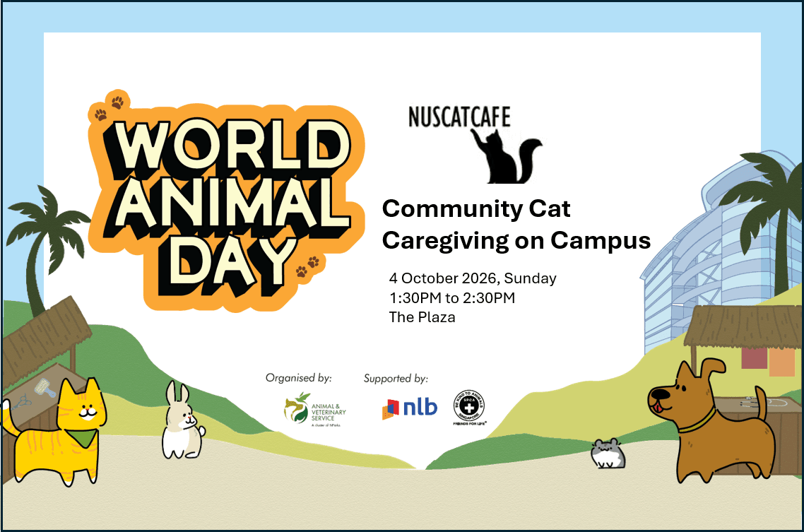 World Animal Day: Community Cat Caregiving on Campus