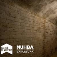 Visites guiades d'estiu