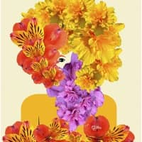 "Women and Digital Art" Exhibition