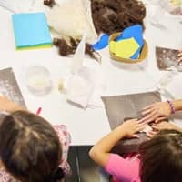 Taller 'Bestiari mai vist'