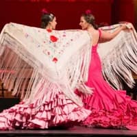 Espectacle "Gran Gala Flamenco - Un viatge pel cor del flamenc"