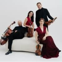 Concert "Bach i Mozart" amb Quartet Casals & Camerata Casals