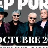 Concert "Deep Purple"