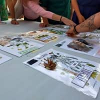 Taller 'Coneixem les llavors i fem planter'
