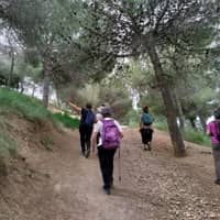 Ruta 'Biodiversitat al parc de la Creueta del Coll'