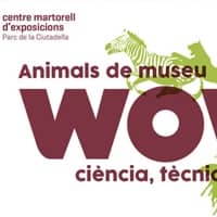 Exposició "Art a l'abast"