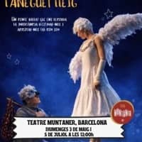 Espectacle familiar "L'aneguet Lleig", a càrrec de NS Dansa