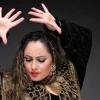 Espectacle "Show Flamenco", amb Rebeca Monasterio, Bladi i Costi