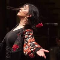 Espectacle "Show Flamenco", amb Gema Amaya, Costi el Chato, Francesc Amador i Damian La Singla