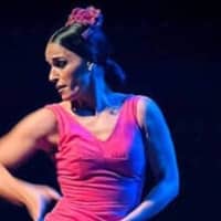 Espectacle "Show Flamenco", amb Eli Ayala, Cristina Blanco, Costi el Chato i Damian Contreras