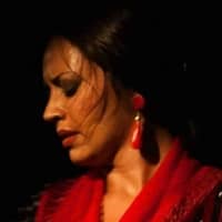 Espectacle "Show Flamenco", amb Pilar Rodriguez, Ainhoa Garrido, Costi el Chato i Francesc Amador