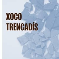 Workshop "Xoco Trencadís"