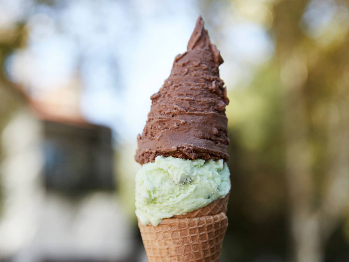 StableCone Meetup #20