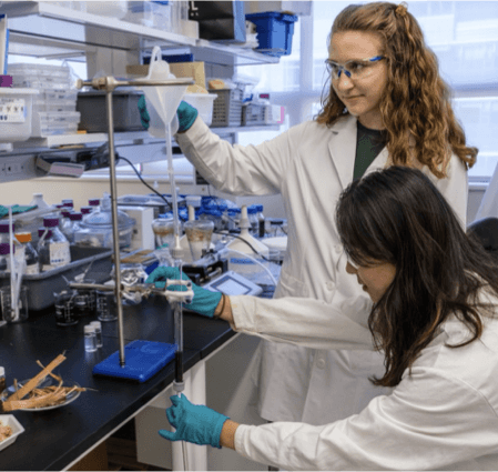 Lost in Translation: Why Good Science Fails Without Sound Development and Scale Up Knowledge