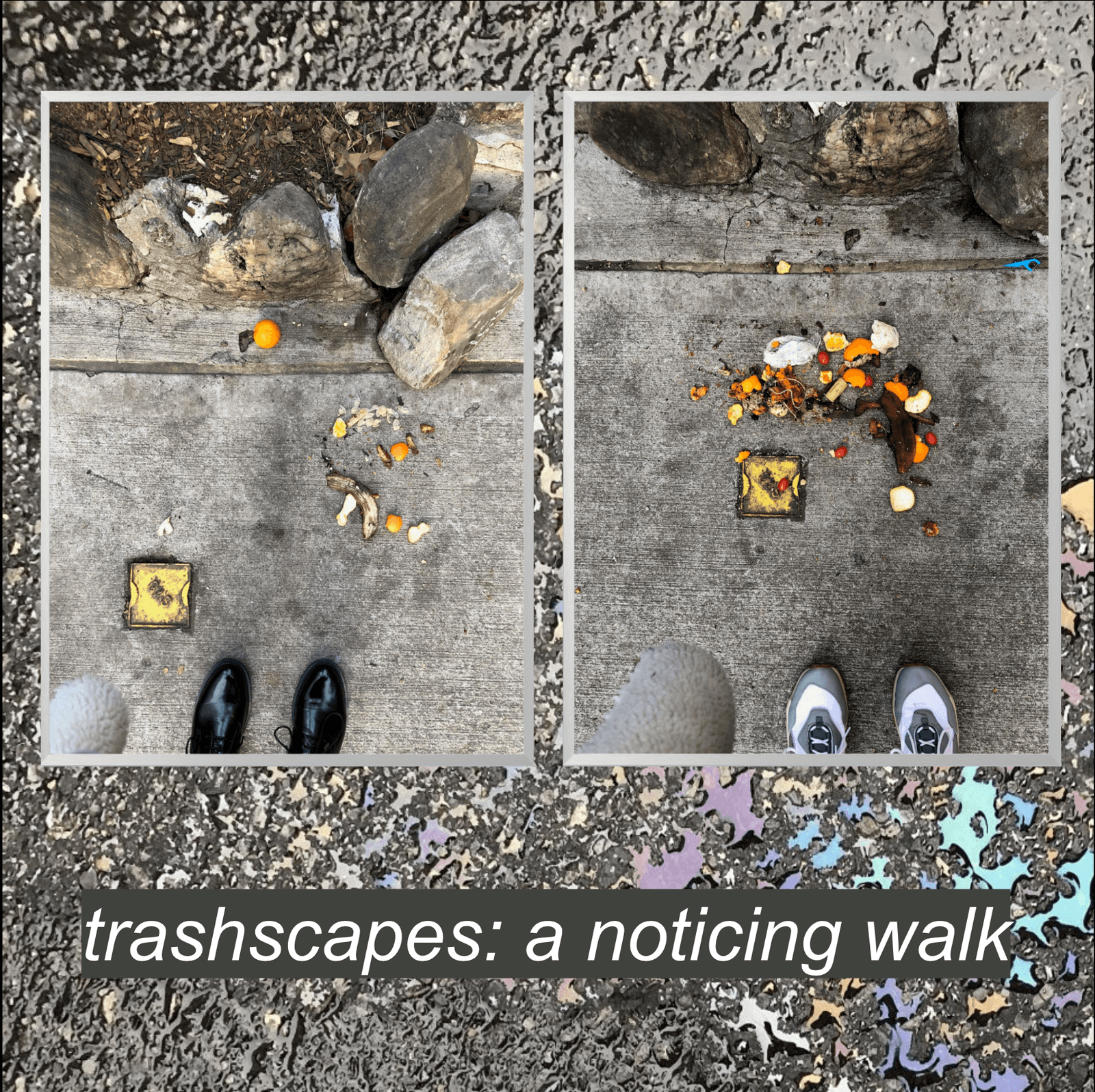 trashscapes: a noticing (and photo) walk