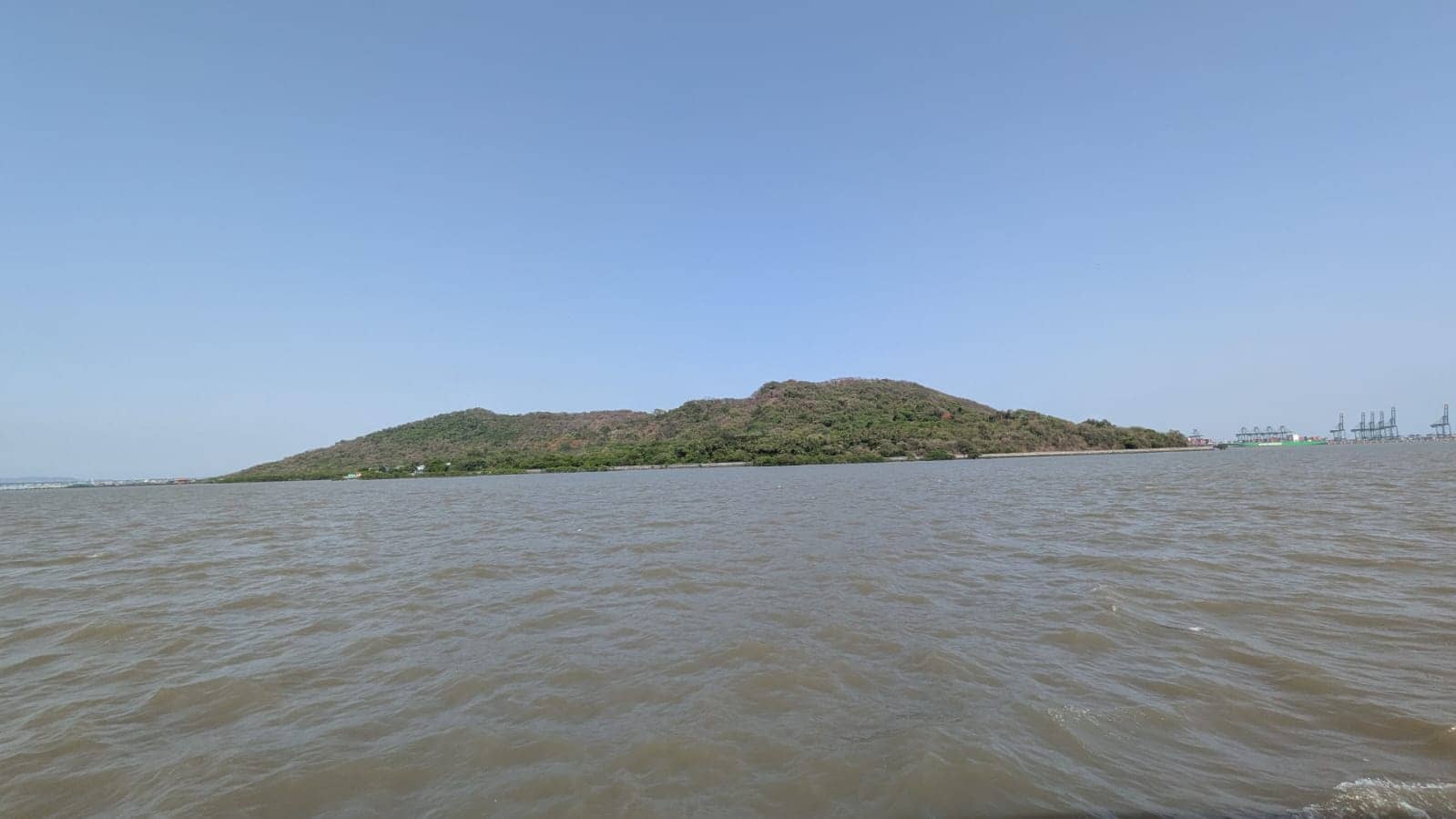 Elephanta Island Mangrove clean-up