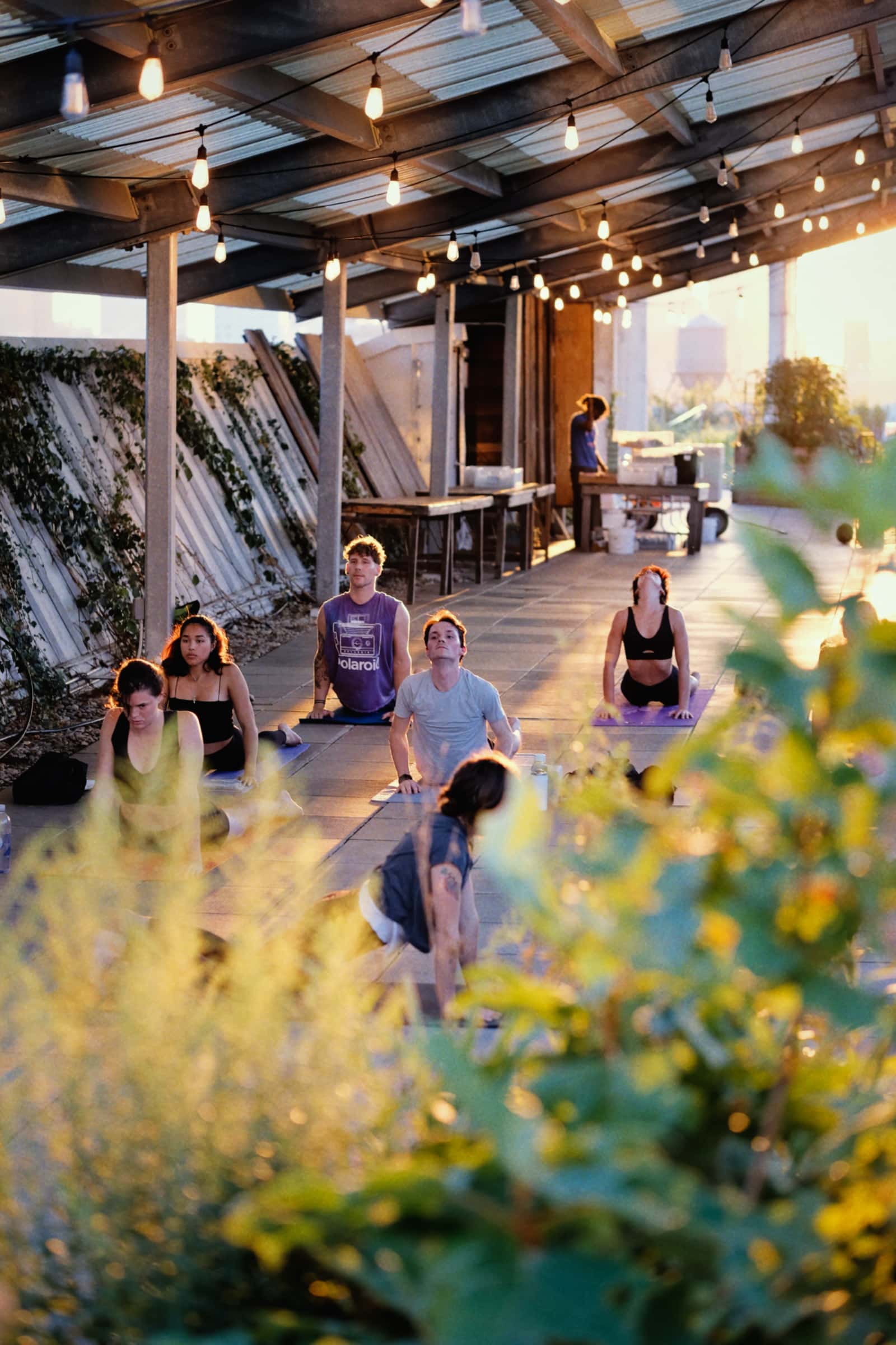 Rooftop Yoga