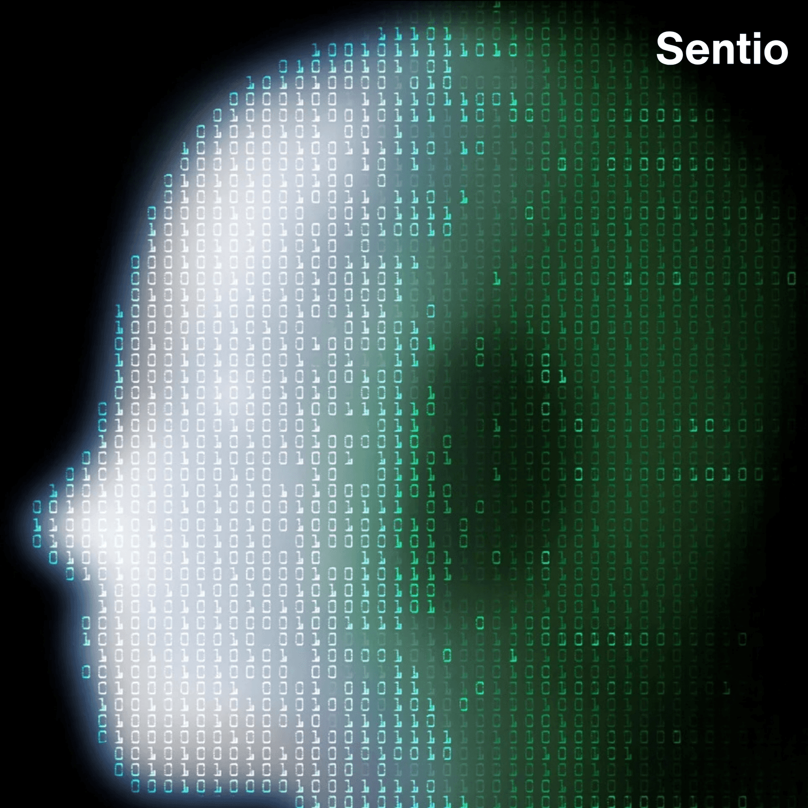 How To Count Digital Minds (Jeff Sebo) + Q&A + Networking