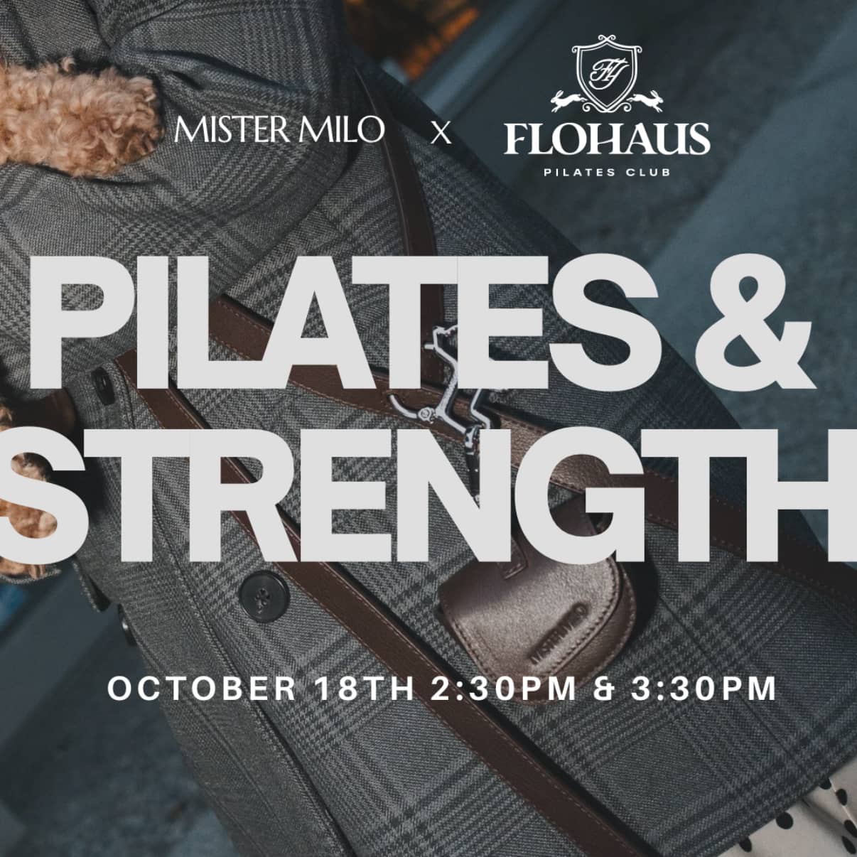 Mister Milo X Flohaus Pilates