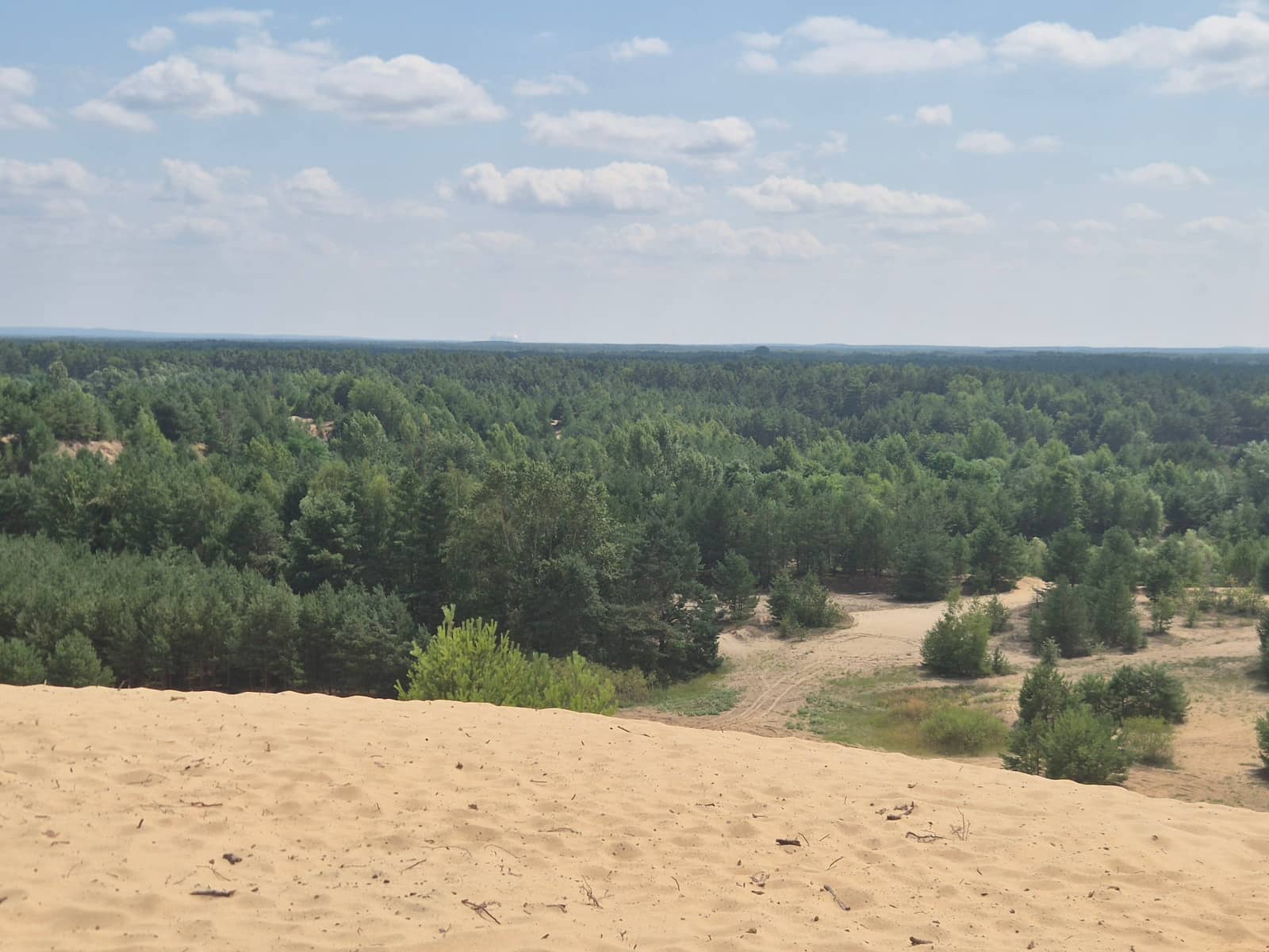 The Dune of Brandenburg - Autumnal Hike 21km