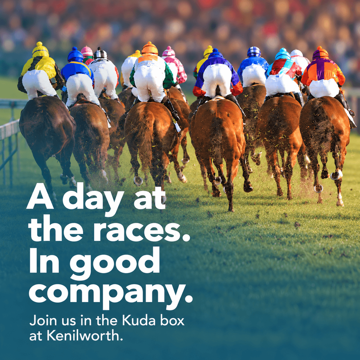 A day at the races