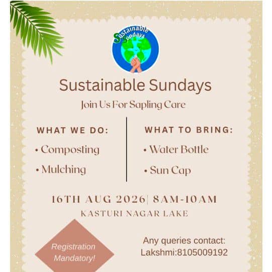 Sapling Care Sunday's