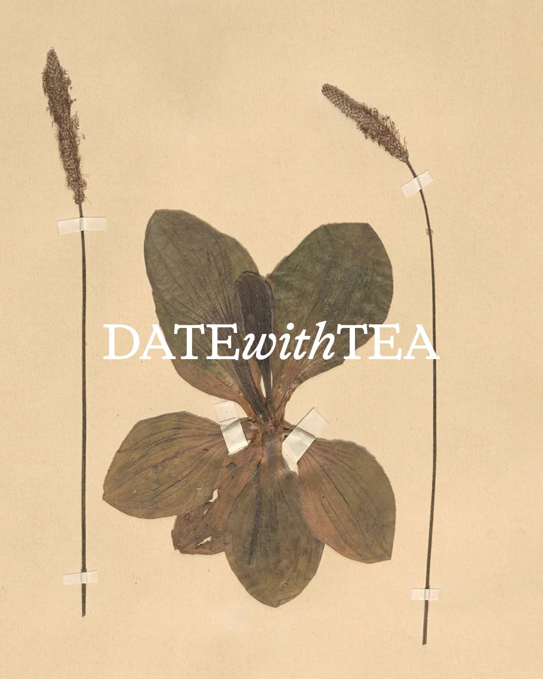 Date with Tea