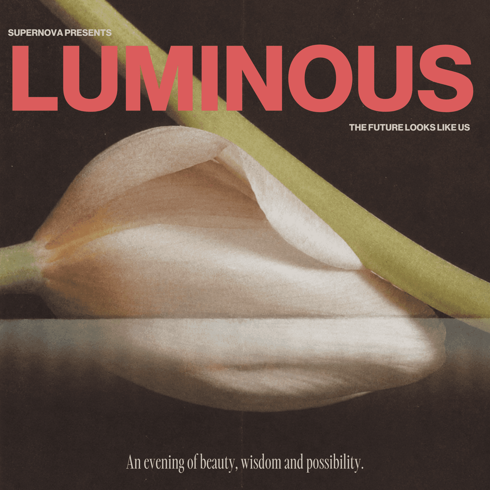 LUMINOUS 2026