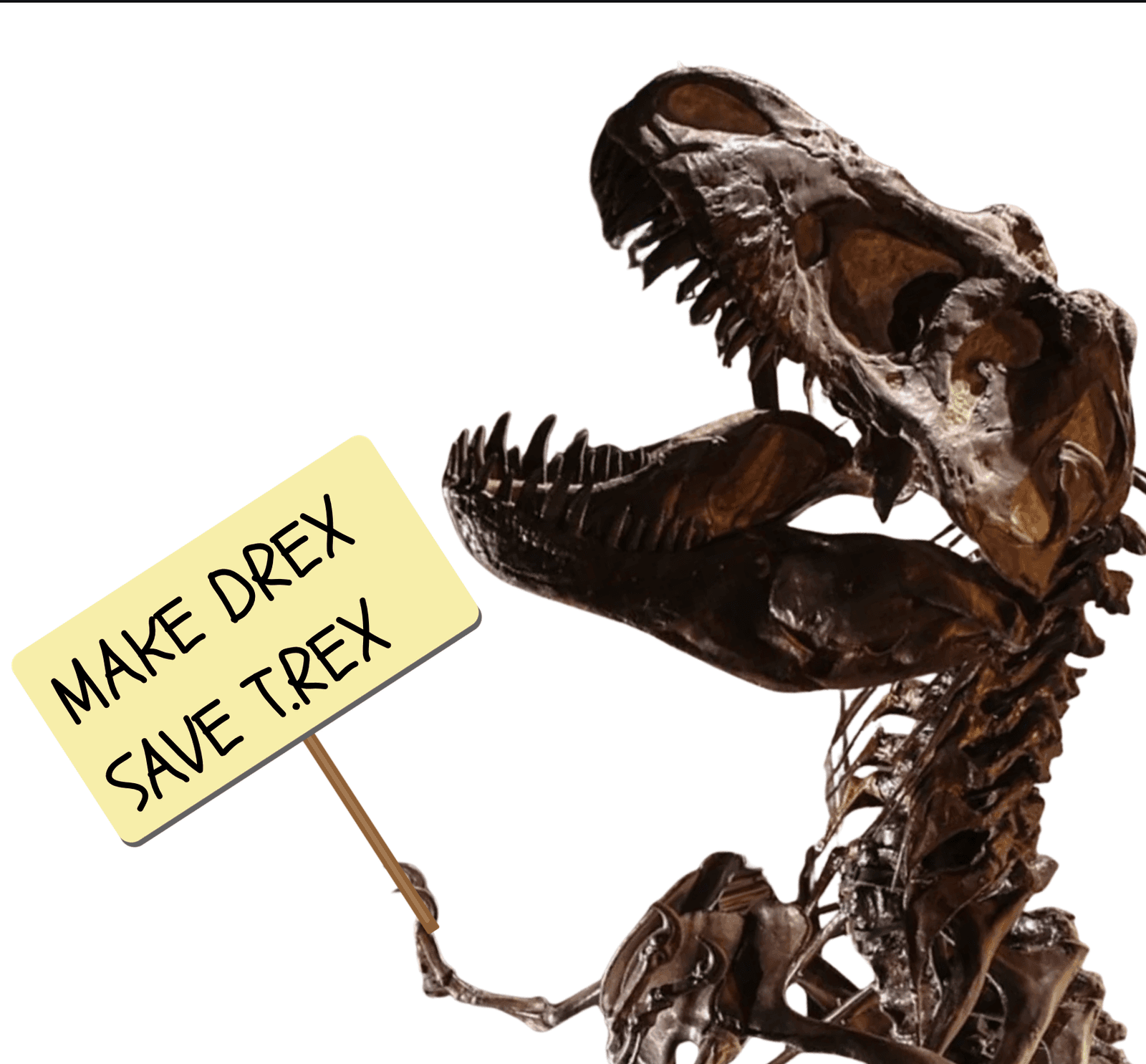 Save the Academy Rally Poster Party