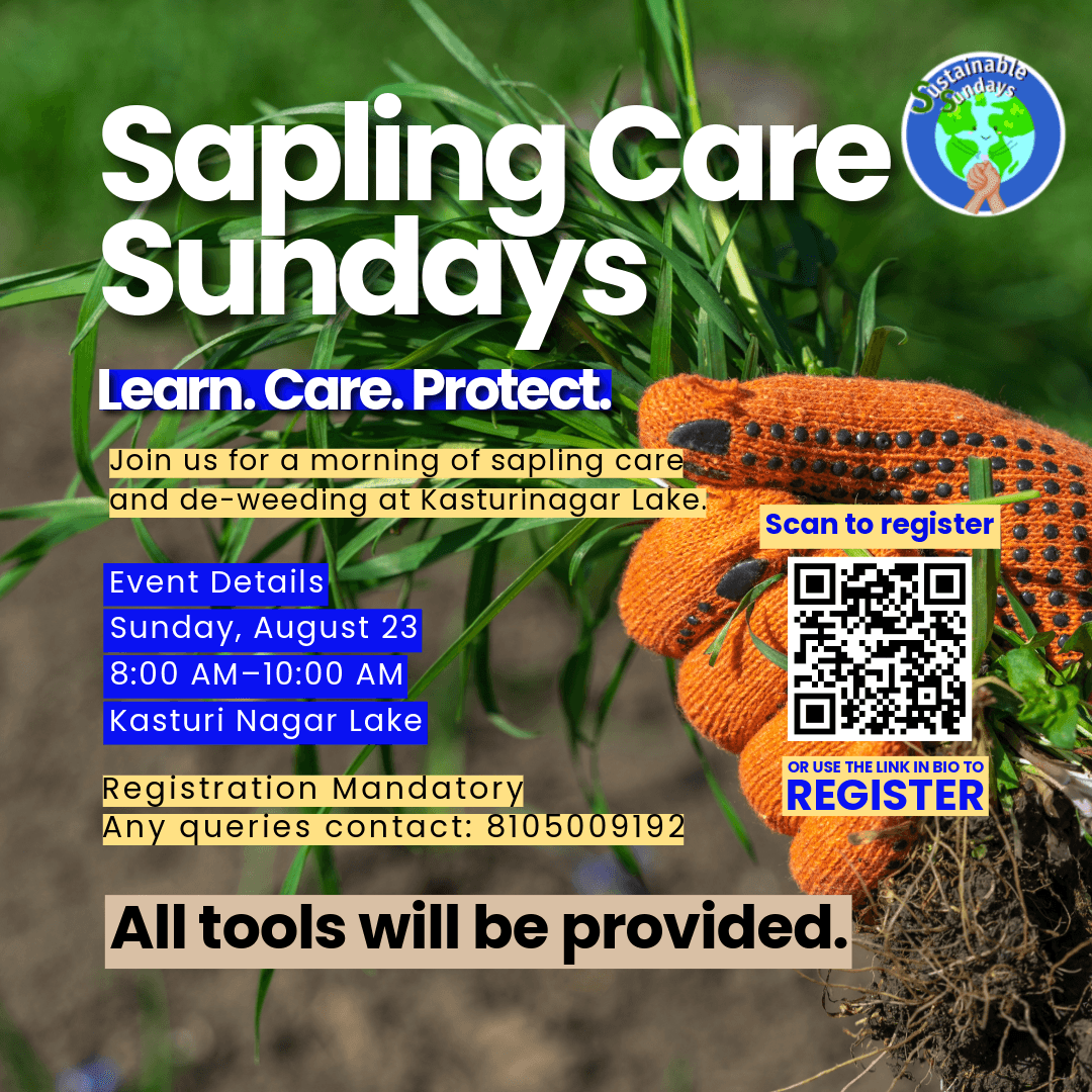 Sapling Care Sundays