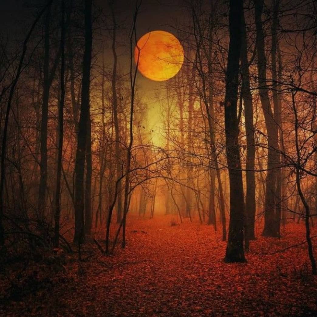 Harvest Spooktacular: A Gothic Fall Dance Party