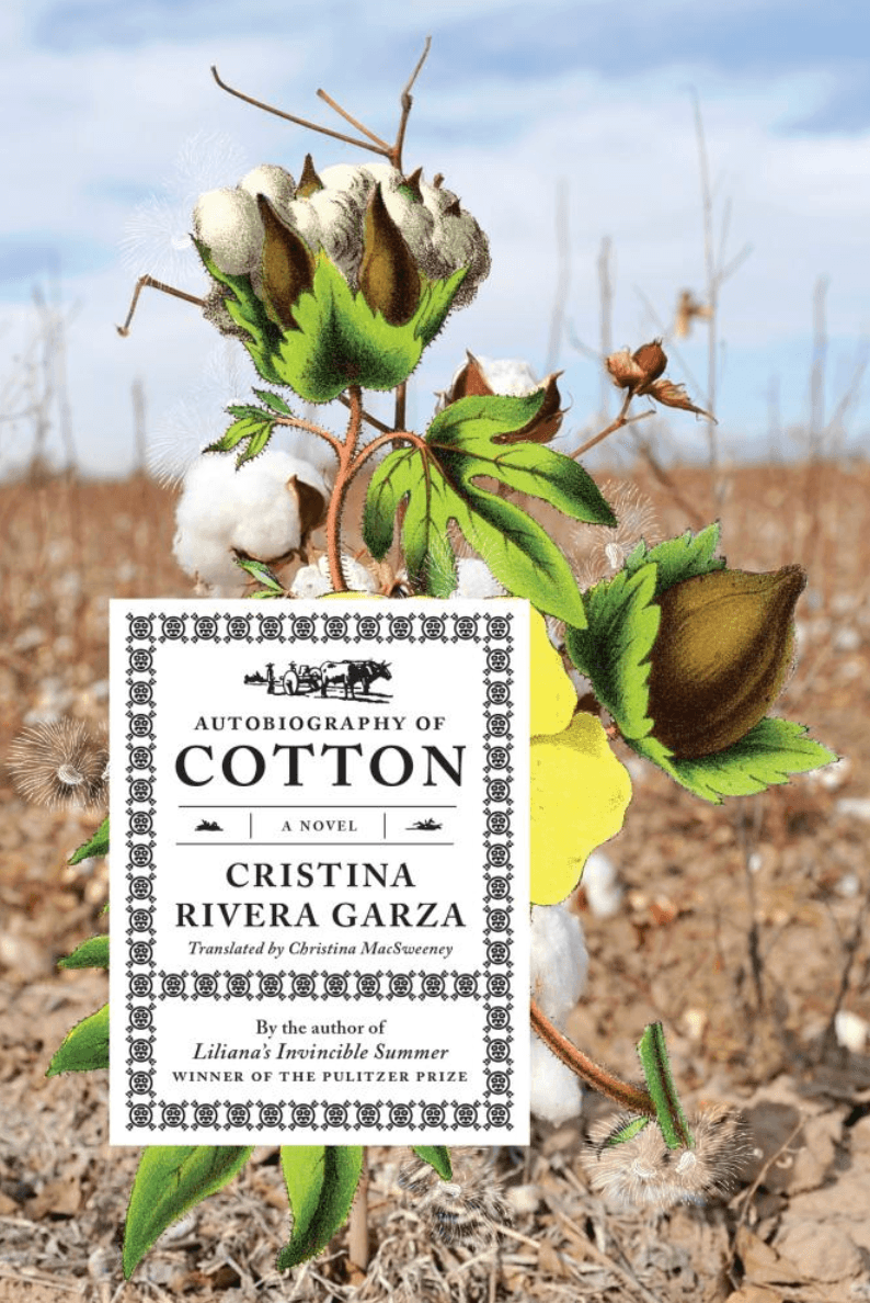 November Bookclub: Autobiography of Cotton