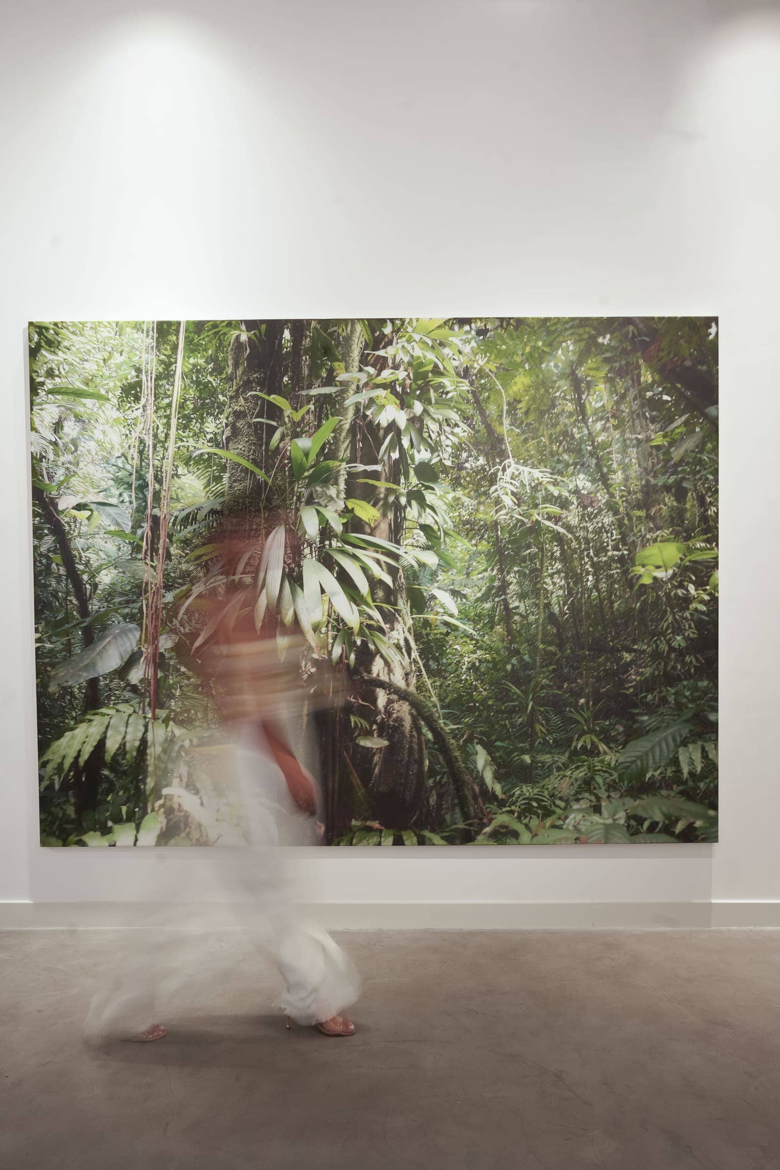 An Exclusive Private Tour & Presentation with artist Stephan Kaluza at JD Malat Gallery