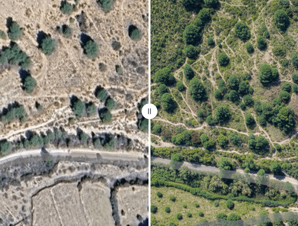 Sewing The Landscape: Creating Thriving Landscapes to break the Drought, Fire, Flood Cycle.