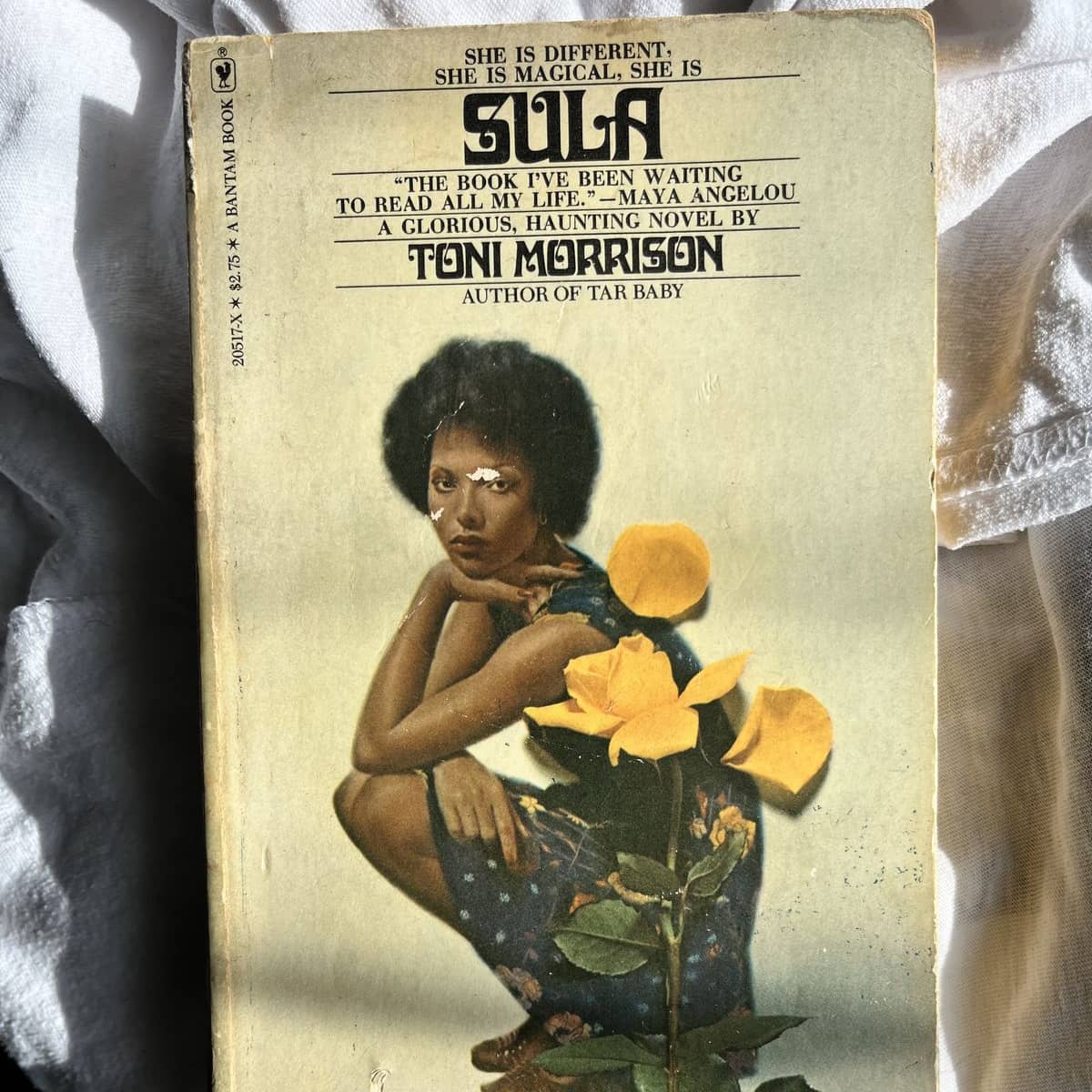 Sula - A Third Discussion