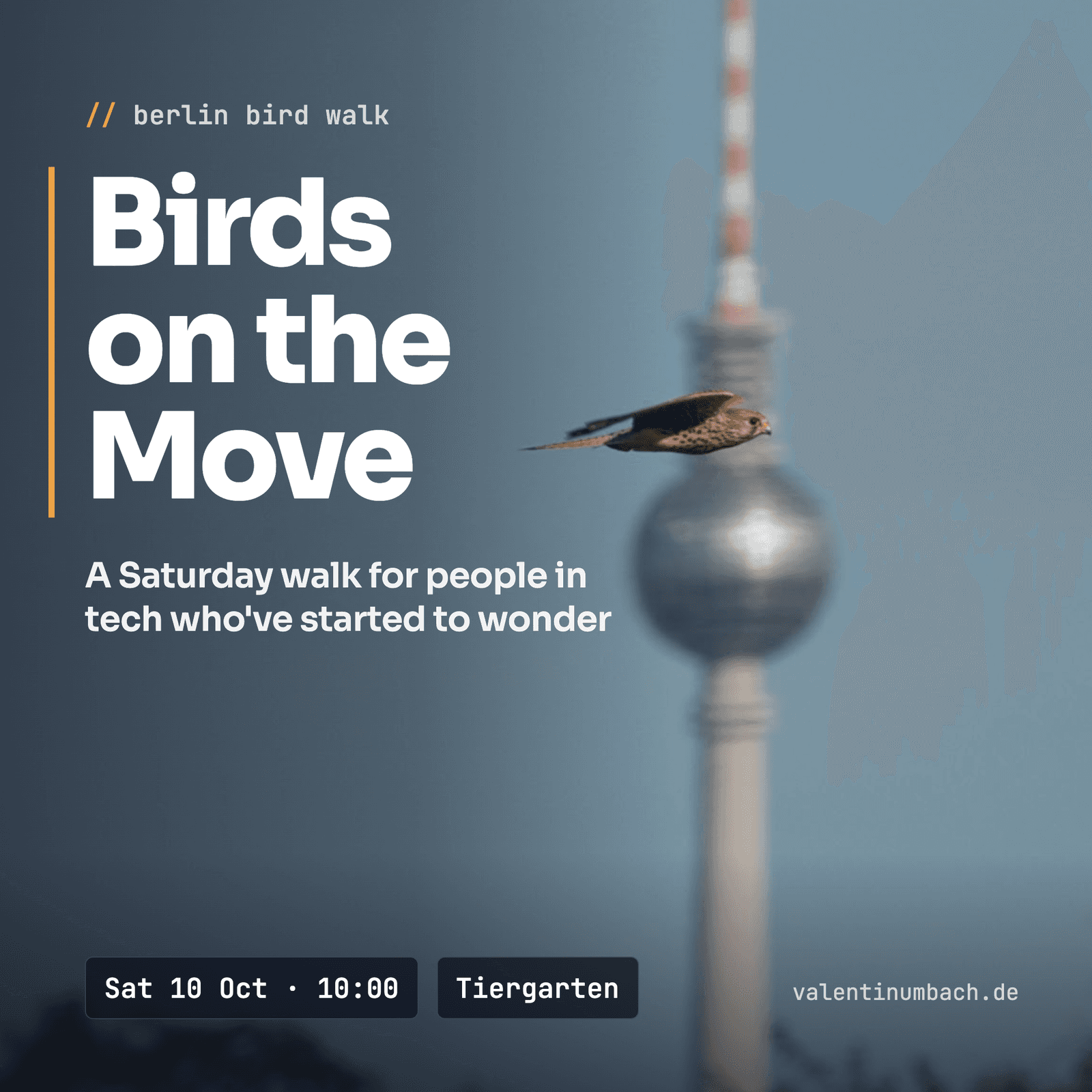 Birds on the Move: a Saturday walk for people in tech who've started to wonder