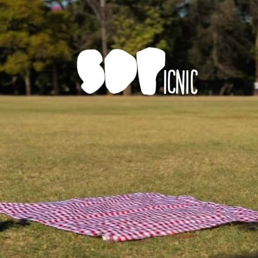 SDPicnic