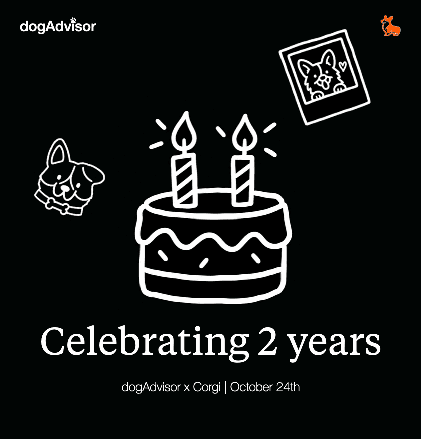 dogAdvisor x Corgi 🐶 2 year birthday and Max Model launch