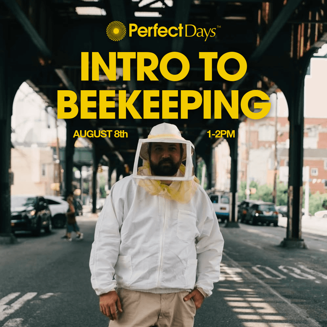 Perfect Days: Intro to Beekeeping