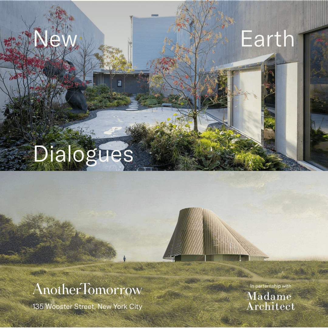 New Earth Dialogues: In conversation with Jing Liu