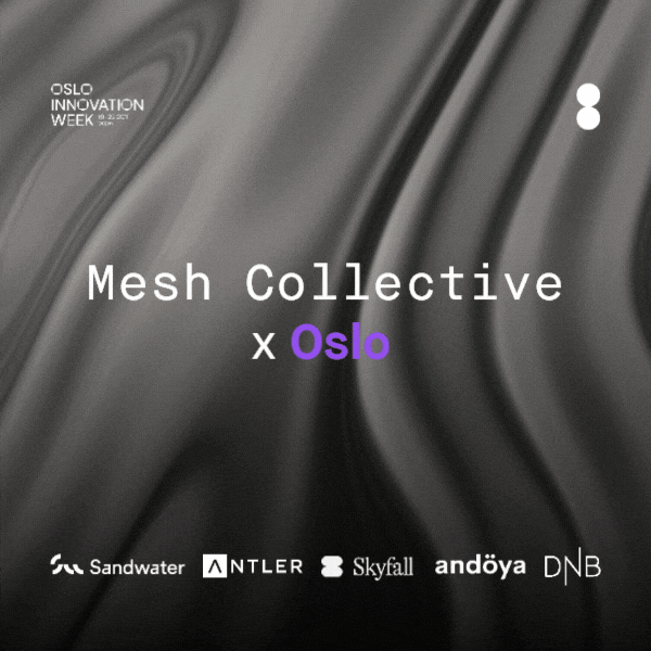 Mesh Collective X Oslo #2 // Sandwater edition