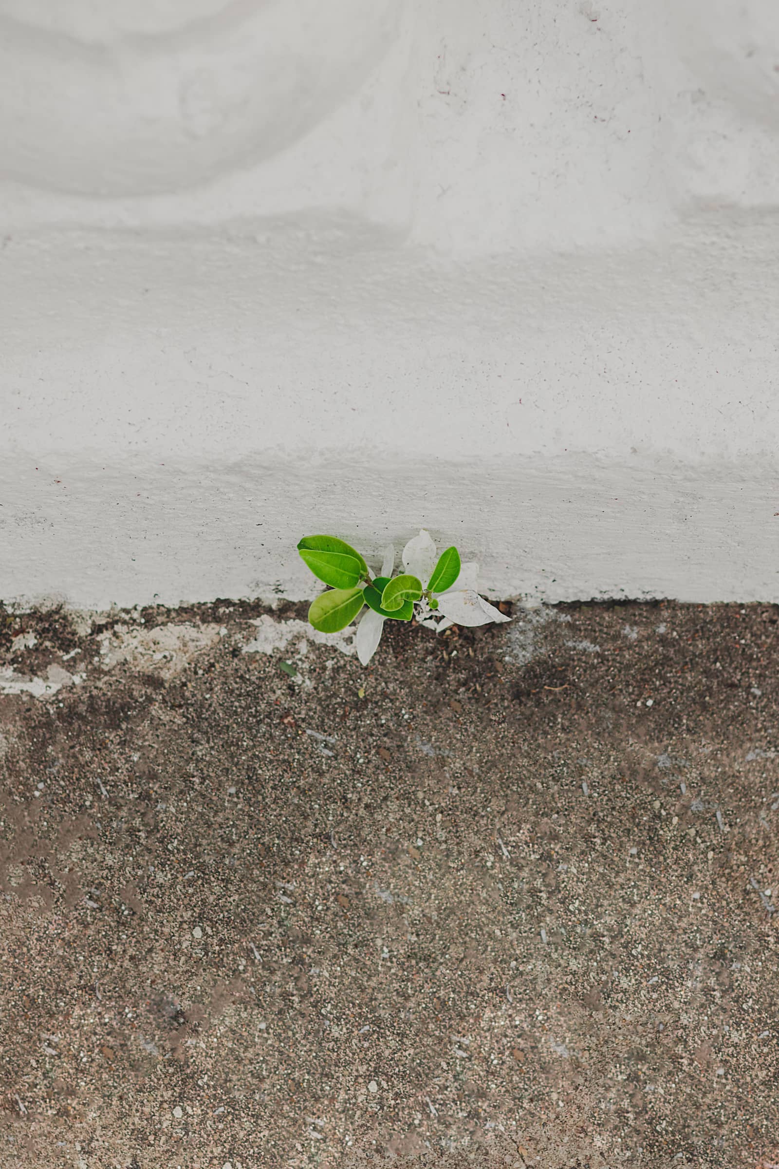 A Queer Practice of Active Hope
