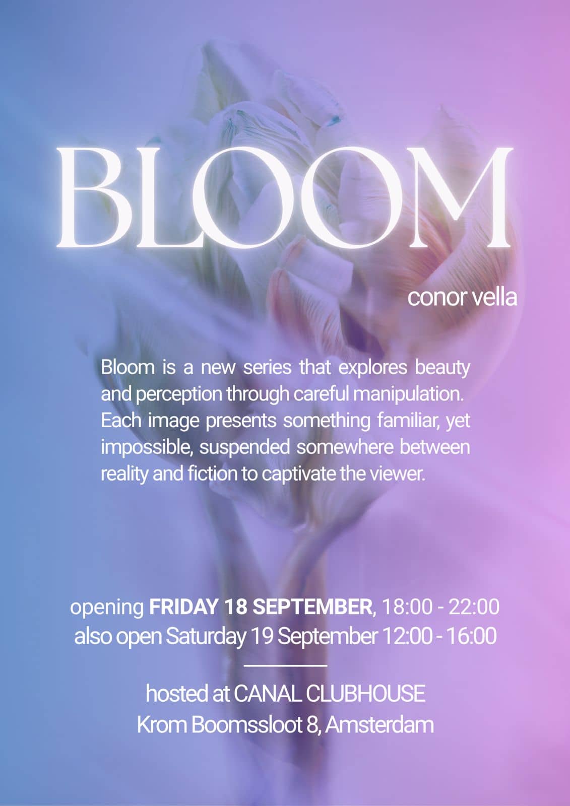 Bloom: Exhibition Opening