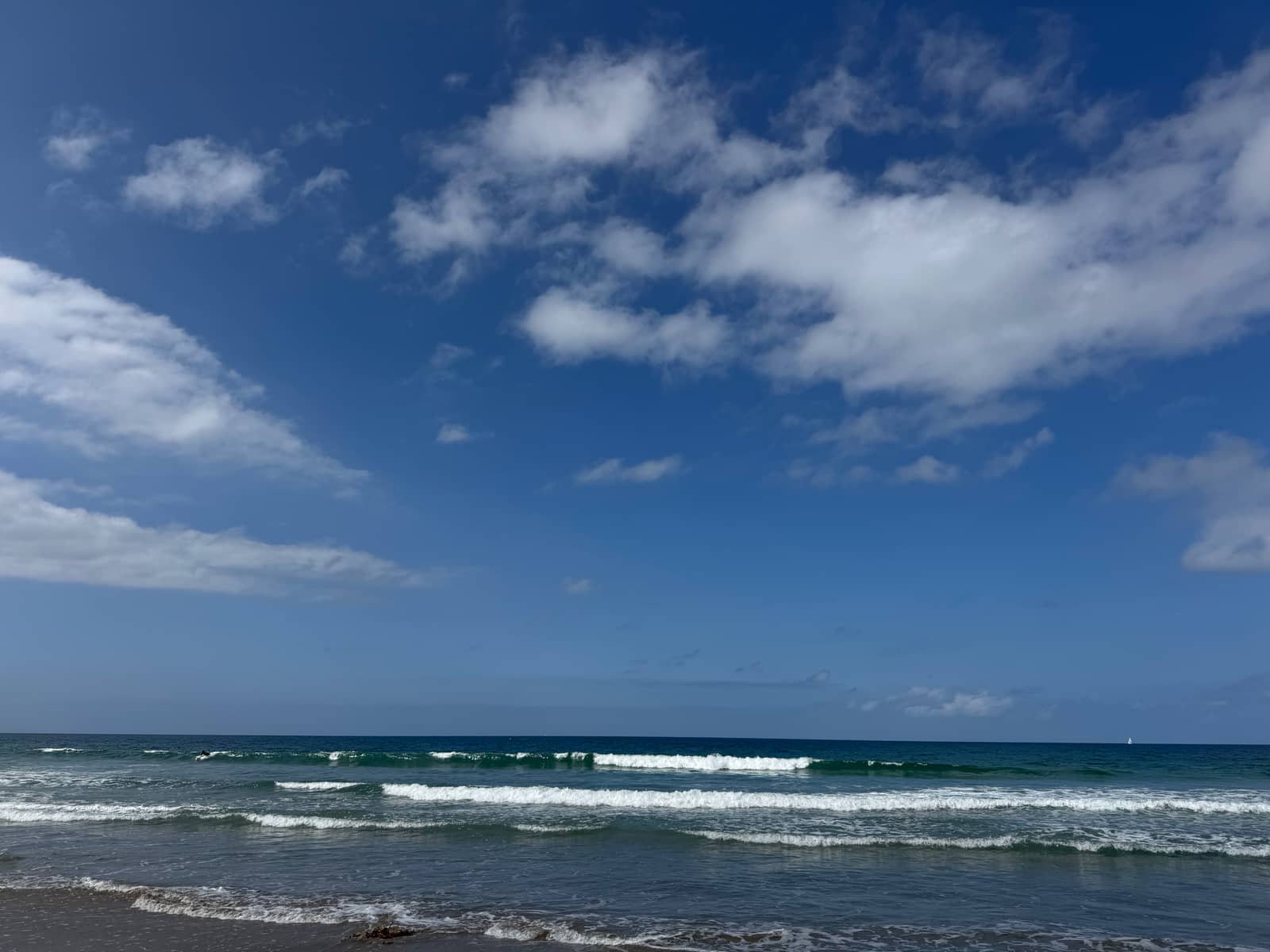Datagrom AI: El Porto Paddle-Out