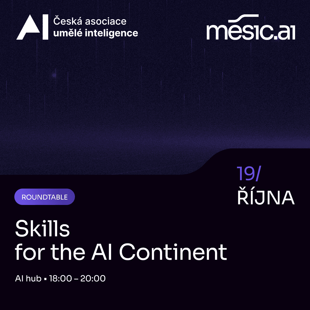Skills for the AI Continent Roundtable