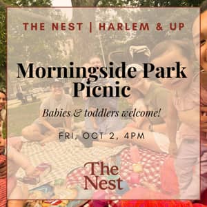 Morningside Park Picnic | The Nest Harlem & Up