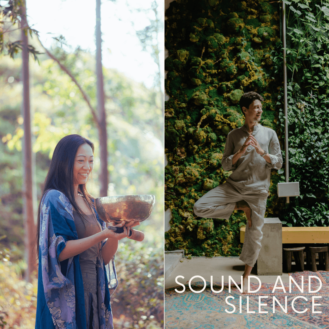 Sound and Silence: A Guided Journey