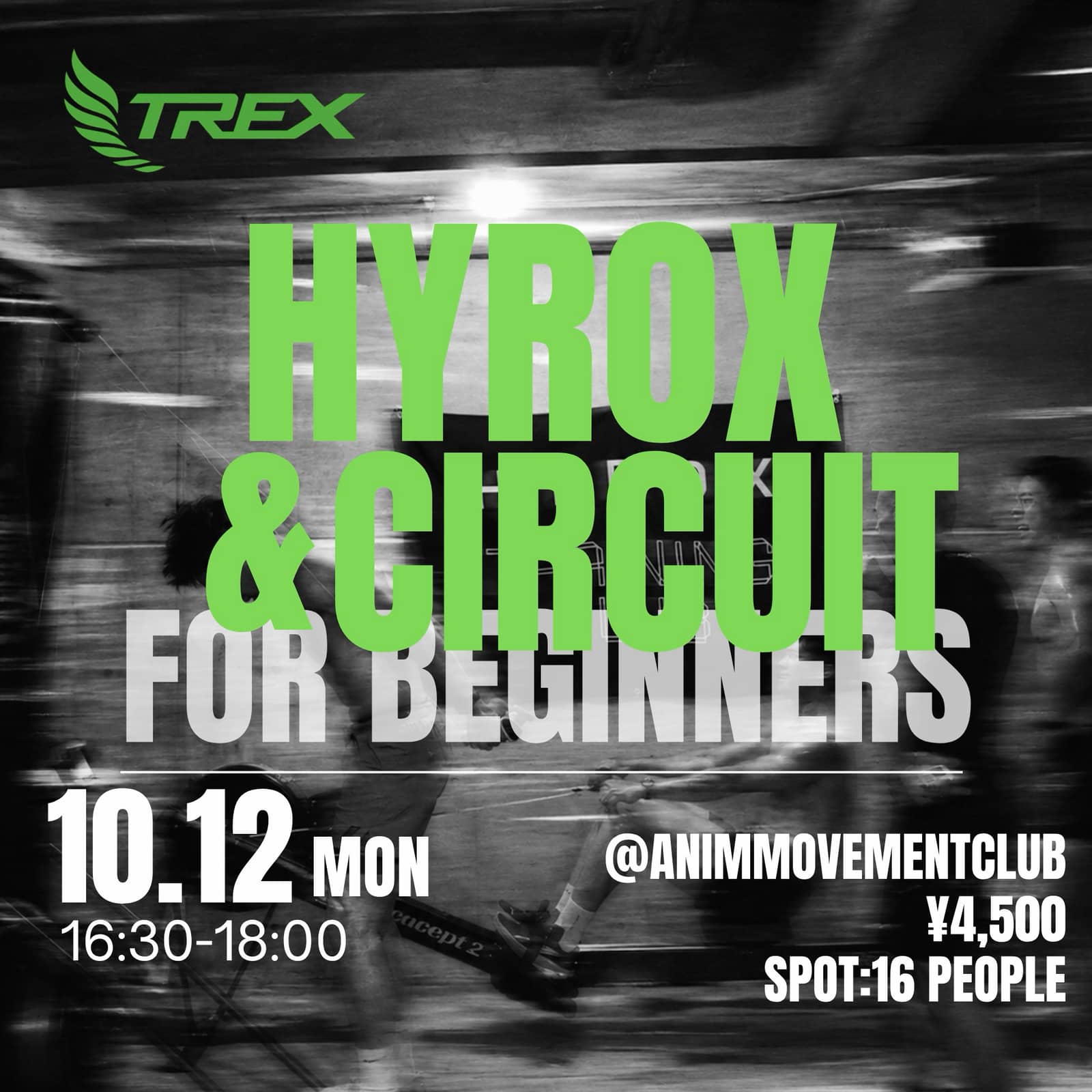 TREX HYROX SESSION FOR BEGINNERS