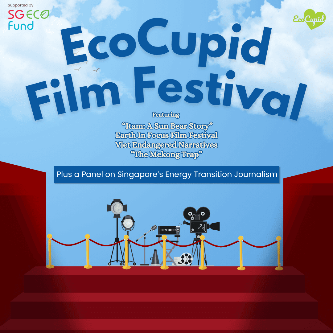 EcoCupid Film Festival | Environmental Cinema Afternoon